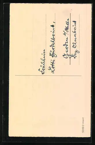 AK Zwei Maikäfer beim Tanz auf einem Birkenzweig, Pfingstgruss