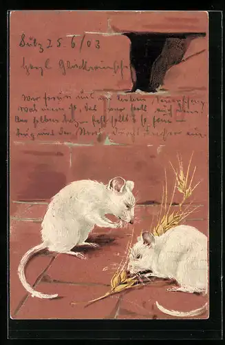 Lithographie Zwei weisse Mäuse laben sich an einer Weizenähre