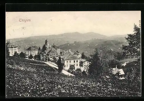 AK Trogen, Teilansicht mit Blumenfeld