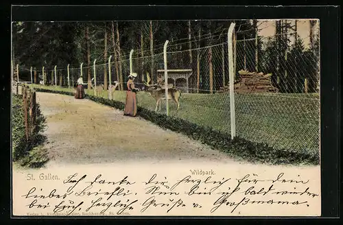 AK St. Gallen, Frauen im Wildpark