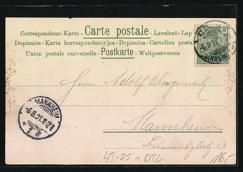 AK Köln, Internationaler Gesang-Wettstreit 1901, Sängerfest