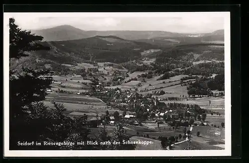 AK Seidorf im Riesengebirge, Totalansicht mit Blick nach der Schneekoppe