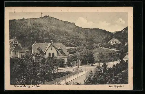 AK Blankenburg a. Harz, Teilansicht mit Ziegenkopf