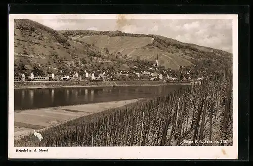 AK Briedel a. d. Mosel, Gesamtansicht von einem Weinberg aus