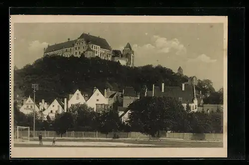 AK Landshut i. B., Blick auf Schloss Trausnitz von den Grieserwiesen