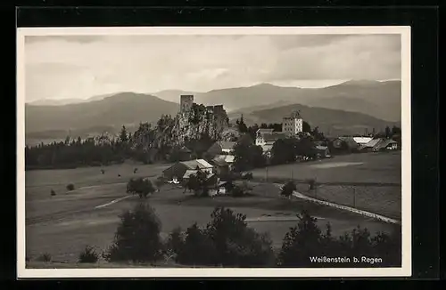 AK Weissenstein b. Regen, Burgruine mit Arber