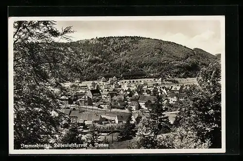 AK Immendingen, Gesamtansicht vom Höhenluftkurort a. Donau