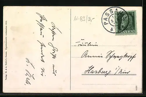 AK Passau, Totalansicht aus der Vogelschau