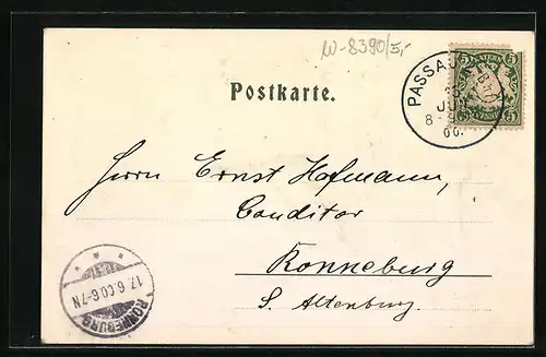 AK Passau, Ortsansicht aus der Vogelschau