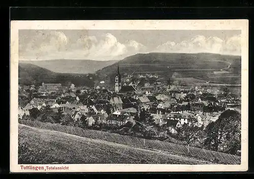 AK Tuttlingen, Totalansicht von einem Berg aus gesehen