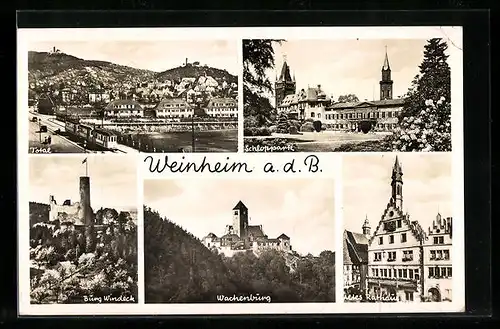 AK Weinheim a. d. B., Totalansicht, Schlosspark, Burg Windeck, Wachenburg, Altes Rathaus