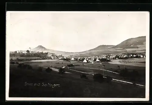 AK Seitingen, Panorama aus der Vogelschau
