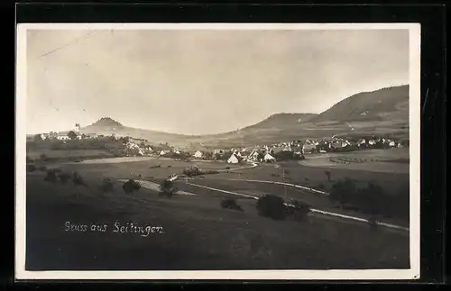 AK Seitingen, Panorama aus der Vogelschau