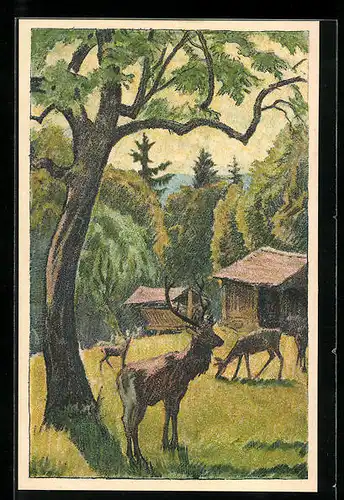 Künstler-AK Zürich, Dolder Grand Hotel, Hirschgehege im Park