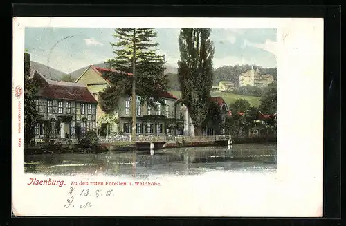 AK Ilsenburg / Harz, Hotel Zu den roten Forellen und Waldhöhe