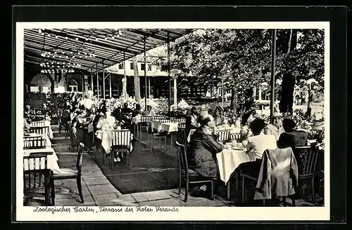 AK Berlin, Zoologischer Garten, Terrasse der Roten Veranda, Budapester Strasse 20