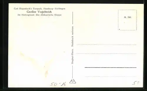 AK Hamburg-Stellingen, Carl Hagenbeck`s Tierpark, Grosser Vogelteich, im Hintergrund die Afrikanische Steppe