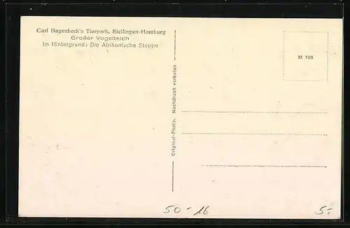 AK Hamburg-Stellingen, Carl Hagenbeck`s Tierpark, Grosser Vogelteich, im Hintergrund die Afrikanische Steppe