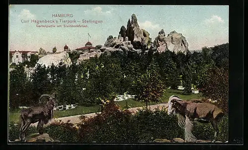 AK Hamburg-Stellingen, Carl Hagenbeck`s Tierpark, Gartenpartie am Steinbockfelsen