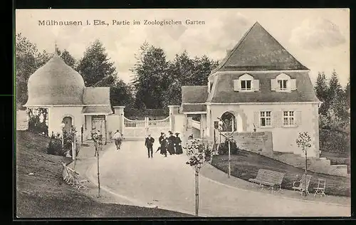 AK Mülhausen i. Els., Partie im Zoologischen Garten