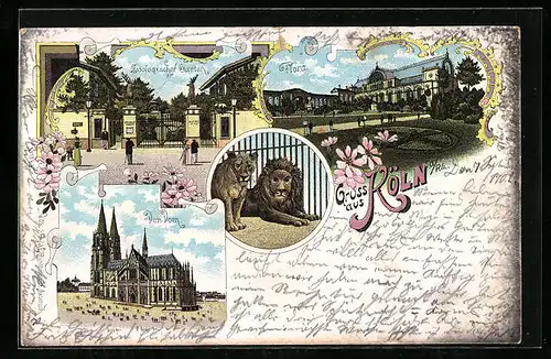 Lithographie Köln, Zoologischer Garten, Löwen im Gehege, Flora und Dom
