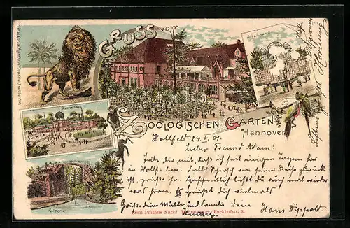 Lithographie Hannover, Zoologischer Garten, Kamelhaus, Affenhaus, Felsen, Löwen und Restauration