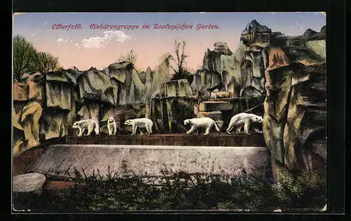 AK Elberfeld, Zoologischer Garten, Eisbärengruppe