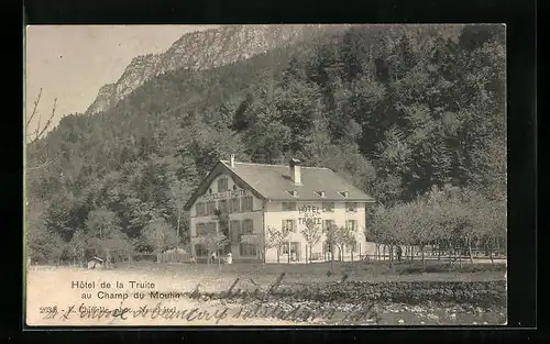 AK Champ du Moulin, Hotel de la Truite