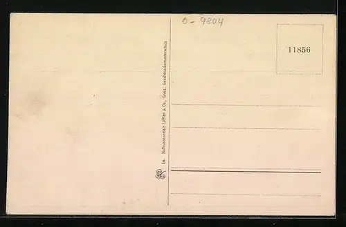 AK Netzschkau, Gasthaus auf dem Kuhberg, Bismarckturm, Colonnade