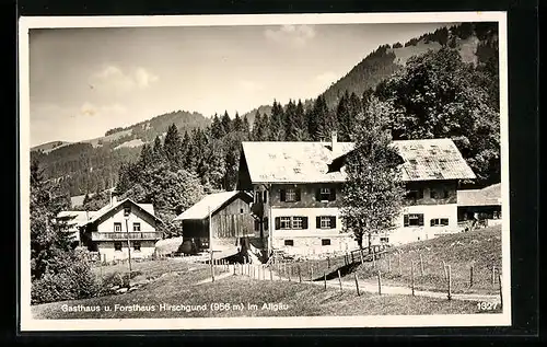 AK Tiefenbach b. Oberstdorf /Allgäu, Gasthaus und Forsthaus Hirschgrund