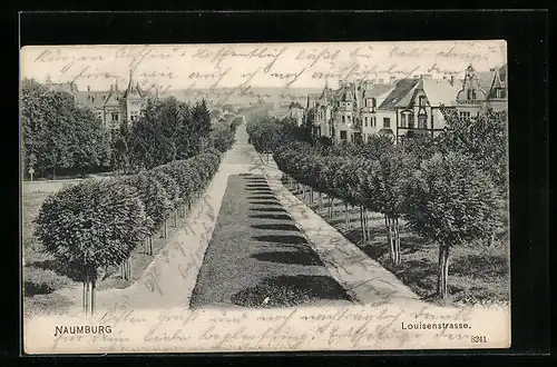 AK Naumburg a. S., Louisenstrasse mit Villen