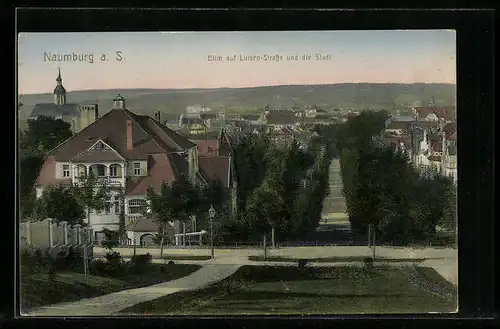 AK Naumburg a. S., Blick auf Luisen-Strasse und die Stadt