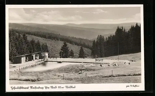 AK Masserberg / Thür. Wald, Schwimmbad