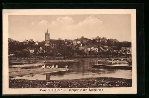 AK Crossen a. d. Oder, Oderpartie mit der Bergkirche