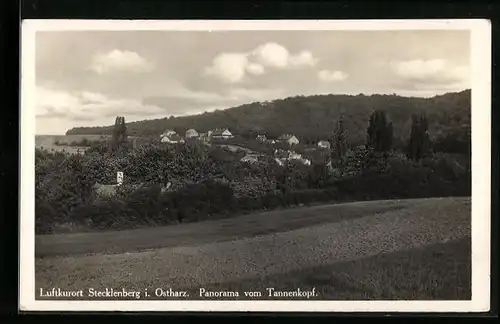 AK Stecklenberg i. Ostharz, Panorama vom Tannenkopf