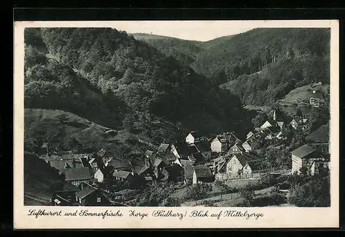 AK Zorge im Südharz, Blick auf Mittelzorge