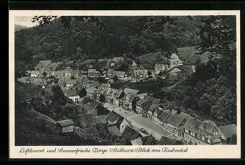 AK Zorge im Harz, Blick vom Taubental auf die gesamte Ortschaft