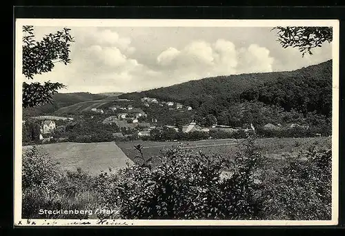 AK Stecklenberg im Harz, Panoramaansicht der Ortschaft