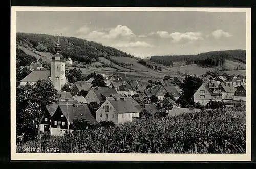AK Geising im Erzgeb., Blick vom Feld auf die Kirche im Ort