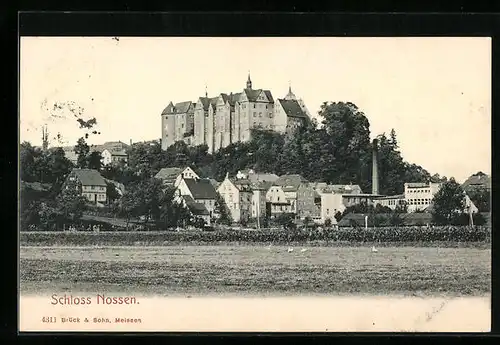 AK Nossen, Blick auf das Schloss und die Ortschaft davor
