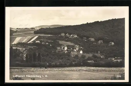 AK Stecklenberg i. H., Blick auf die Wohnhäuser am Hang