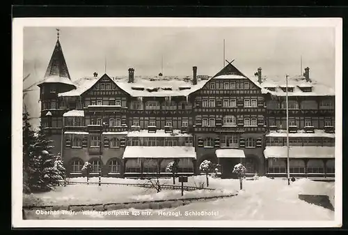 AK Oberhof im Thür. Wald, vor dem Herzoglichen Schlosshotel im Schnee