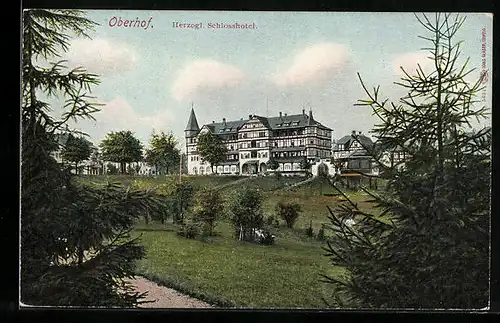 AK Oberhof i. Thür., Grünanlagen vor dem Herzoglichen Schlosshotel