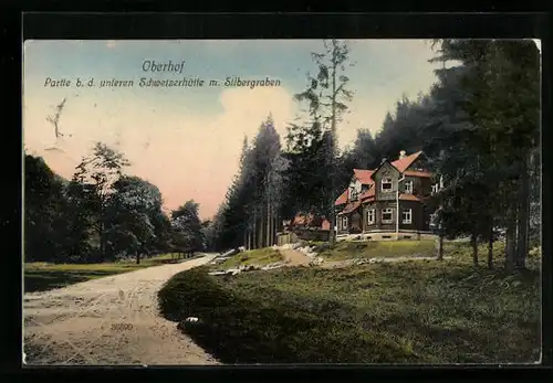 AK Oberhof i. Thür., Partie b. d. unteren Schweizerhütte m. Silbergraben