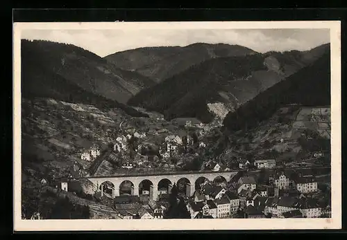 AK Hornberg a. Schwarzwaldbahn, Blick vom Schloss ins Reichenbachtal