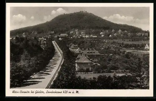 AK Klein-Biesnitz bei Görlitz, Strasse durch den Ort zur Landeskrone hin