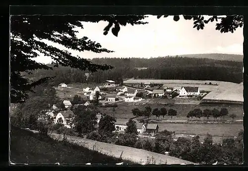 AK Dalwigksthal, Ortsansicht im Ferienland Waldeck