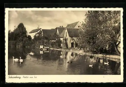 AK Schrozberg, Partie am Seeufer im Ort