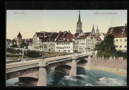 AK Ulm a. Donau, Partie an der Donaubrücke, Blick zum Münster