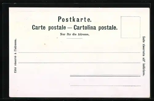 Lithographie Biel / Bienne, Ortsansicht mit Schlossturm